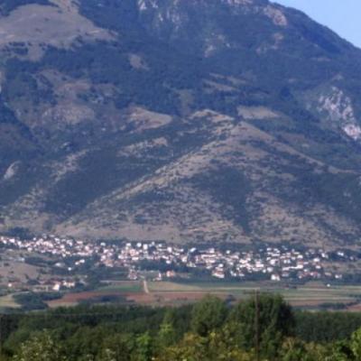 N1266490317 30249872 7389