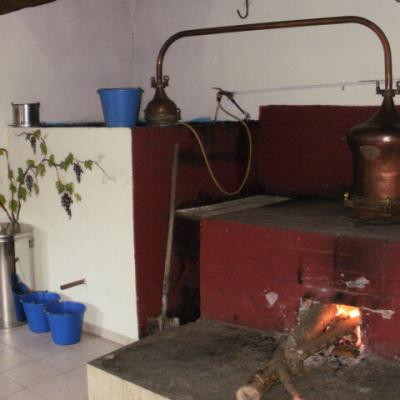 Tsipouro 014